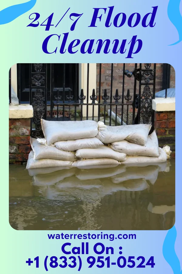 24/7 Flood Cleanup in Naples, IL