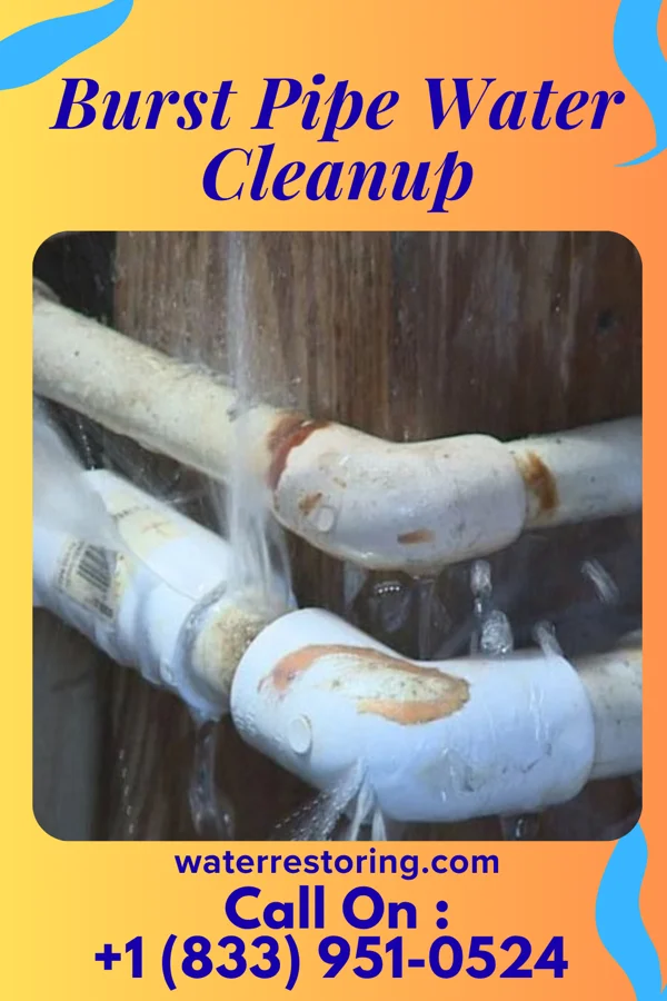 Burst Pipe Water Cleanup in Naples, IL