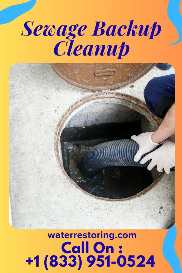 Sewage Backup Cleanup in Naples, IL