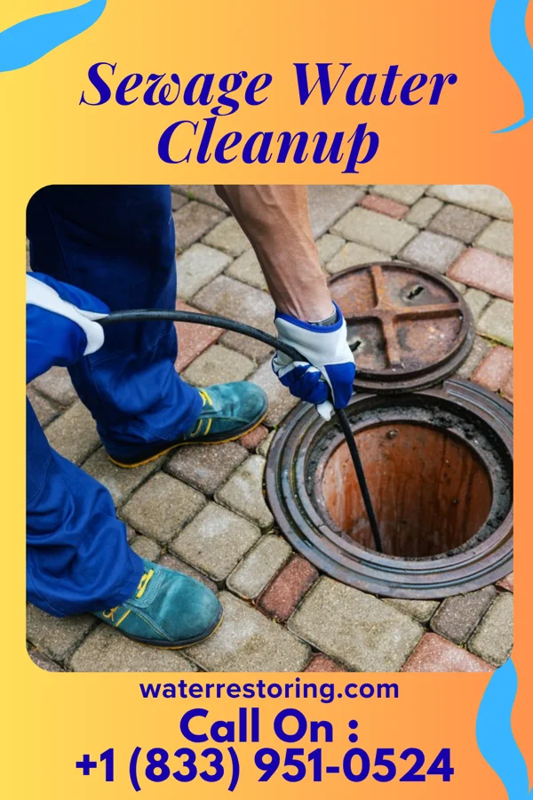 Sewage Water Cleanup in Naples, IL